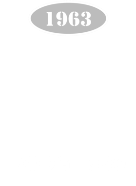 https://s3.us-west-1.wasabisys.com/ecart-content/cargeektees.com/overlays/123/543/1235433.png img
