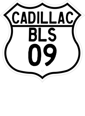 https://s3.us-west-1.wasabisys.com/ecart-content/cargeektees.com/overlays/131/485/1314852.png img