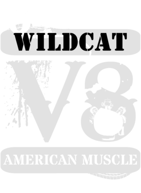 https://s3.us-west-1.wasabisys.com/ecart-content/cargeektees.com/overlays/135/927/1359277.png img