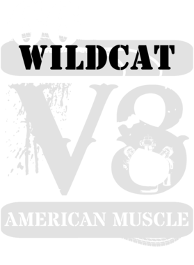 https://s3.us-west-1.wasabisys.com/ecart-content/cargeektees.com/overlays/135/932/1359322.png img