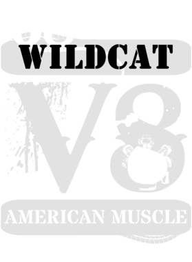 https://s3.us-west-1.wasabisys.com/ecart-content/cargeektees.com/overlays/135/938/1359382.png img