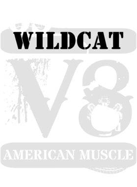 https://s3.us-west-1.wasabisys.com/ecart-content/cargeektees.com/overlays/135/942/1359423.png img