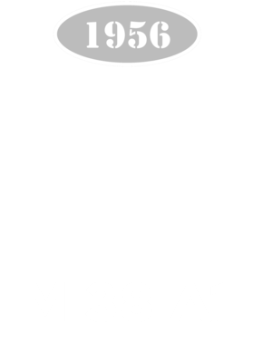 https://s3.us-west-1.wasabisys.com/ecart-content/cargeektees.com/overlays/136/015/1360153.png img
