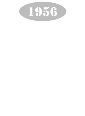 https://s3.us-west-1.wasabisys.com/ecart-content/cargeektees.com/overlays/136/015/1360157.png img