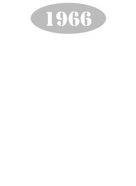 https://s3.us-west-1.wasabisys.com/ecart-content/cargeektees.com/overlays/136/033/1360338.png img