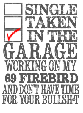 https://s3.us-west-1.wasabisys.com/ecart-content/cargeektees.com/overlays/136/282/1362823.png img