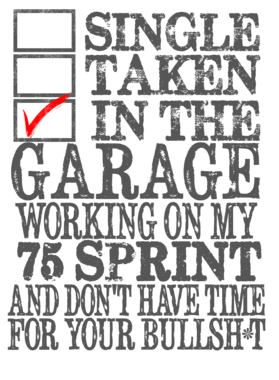 https://s3.us-west-1.wasabisys.com/ecart-content/cargeektees.com/overlays/136/302/1363029.png img