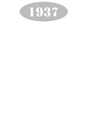 https://s3.us-west-1.wasabisys.com/ecart-content/cargeektees.com/overlays/137/990/1379901.png img