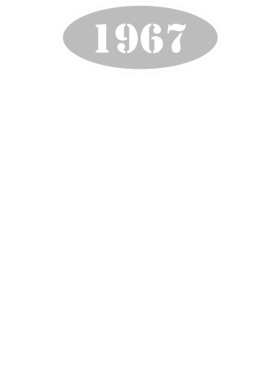 https://s3.us-west-1.wasabisys.com/ecart-content/cargeektees.com/overlays/137/993/1379932.png img