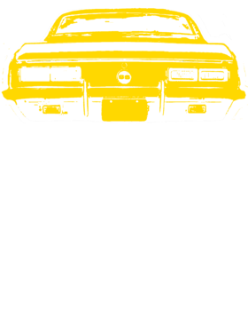 https://s3.us-west-1.wasabisys.com/ecart-content/cargeektees.com/overlays/146/187/14618711.png img