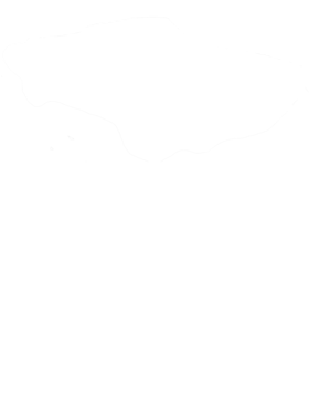https://s3.us-west-1.wasabisys.com/ecart-content/cargeektees.com/overlays/146/198/14619866.png img