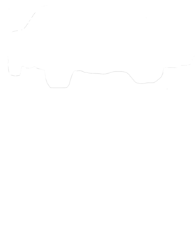 https://s3.us-west-1.wasabisys.com/ecart-content/cargeektees.com/overlays/146/551/14655180.png img