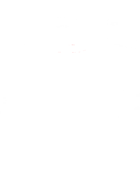 https://s3.us-west-1.wasabisys.com/ecart-content/cargeektees.com/overlays/150/463/1504632.png img