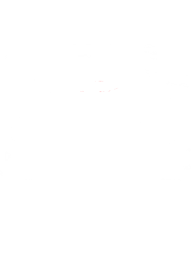 https://s3.us-west-1.wasabisys.com/ecart-content/cargeektees.com/overlays/150/465/1504650.png img