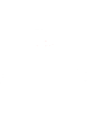 https://s3.us-west-1.wasabisys.com/ecart-content/cargeektees.com/overlays/150/465/1504652.png img