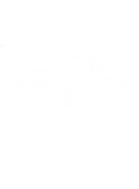 https://s3.us-west-1.wasabisys.com/ecart-content/cargeektees.com/overlays/150/470/1504708.png img