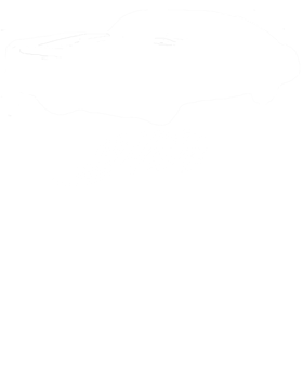 https://s3.us-west-1.wasabisys.com/ecart-content/cargeektees.com/overlays/158/627/15862751.png img