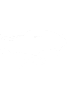 https://s3.us-west-1.wasabisys.com/ecart-content/cargeektees.com/overlays/158/639/15863903.png img