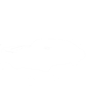 https://s3.us-west-1.wasabisys.com/ecart-content/cargeektees.com/overlays/158/640/15864018.png img