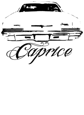 https://s3.us-west-1.wasabisys.com/ecart-content/cargeektees.com/overlays/164/083/16408321.png img