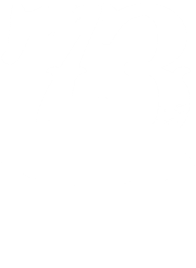 https://s3.us-west-1.wasabisys.com/ecart-content/cargeektees.com/overlays/170/209/17020930.png img
