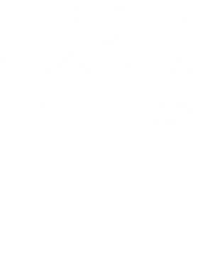 https://s3.us-west-1.wasabisys.com/ecart-content/cargeektees.com/overlays/170/209/17020942.png img