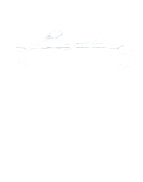 https://s3.us-west-1.wasabisys.com/ecart-content/cargeektees.com/overlays/172/311/1723116.png img
