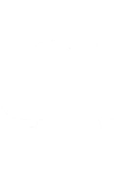 https://s3.us-west-1.wasabisys.com/ecart-content/cargeektees.com/overlays/172/319/1723196.png img