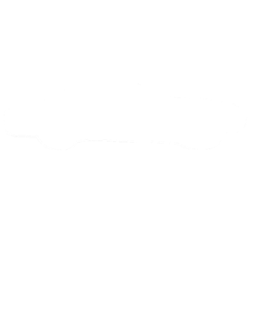 https://s3.us-west-1.wasabisys.com/ecart-content/cargeektees.com/overlays/172/335/1723351.png img