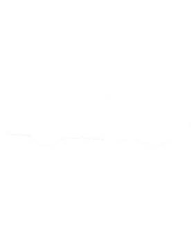 https://s3.us-west-1.wasabisys.com/ecart-content/cargeektees.com/overlays/172/335/1723353.png img