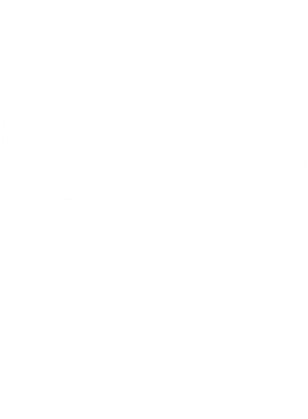 https://s3.us-west-1.wasabisys.com/ecart-content/cargeektees.com/overlays/172/368/1723683.png img
