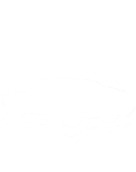 https://s3.us-west-1.wasabisys.com/ecart-content/cargeektees.com/overlays/172/765/17276538.png img