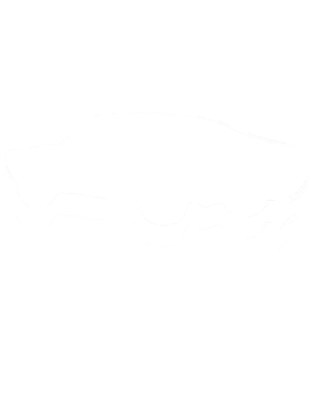 https://s3.us-west-1.wasabisys.com/ecart-content/cargeektees.com/overlays/172/765/17276545.png img