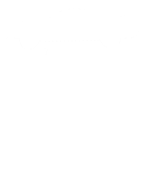 https://s3.us-west-1.wasabisys.com/ecart-content/cargeektees.com/overlays/172/840/17284055.png img