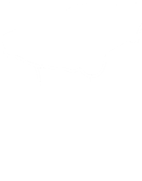 https://s3.us-west-1.wasabisys.com/ecart-content/cargeektees.com/overlays/173/009/17300973.png img