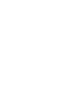 https://s3.us-west-1.wasabisys.com/ecart-content/cargeektees.com/overlays/173/011/17301190.png img