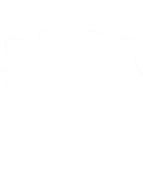 https://s3.us-west-1.wasabisys.com/ecart-content/cargeektees.com/overlays/174/362/1743629.png img
