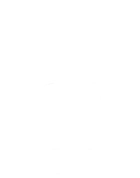 https://s3.us-west-1.wasabisys.com/ecart-content/cargeektees.com/overlays/174/363/1743635.png img