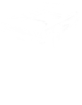 https://s3.us-west-1.wasabisys.com/ecart-content/cargeektees.com/overlays/174/497/17449759.png img