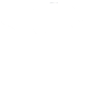 https://s3.us-west-1.wasabisys.com/ecart-content/cargeektees.com/overlays/175/014/17501489.png img