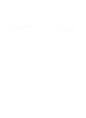 https://s3.us-west-1.wasabisys.com/ecart-content/cargeektees.com/overlays/177/305/17730517.png img
