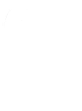 https://s3.us-west-1.wasabisys.com/ecart-content/cargeektees.com/overlays/177/529/17752959.png img