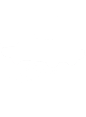 https://s3.us-west-1.wasabisys.com/ecart-content/cargeektees.com/overlays/177/529/17752967.png img