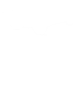 https://s3.us-west-1.wasabisys.com/ecart-content/cargeektees.com/overlays/177/910/17791010.png img