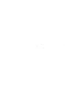 https://s3.us-west-1.wasabisys.com/ecart-content/cargeektees.com/overlays/178/667/17866769.png img