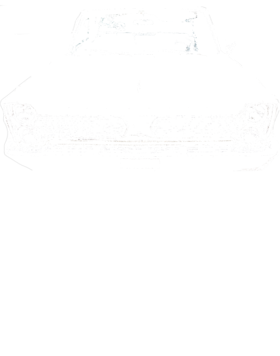 https://s3.us-west-1.wasabisys.com/ecart-content/cargeektees.com/overlays/178/675/17867581.png img