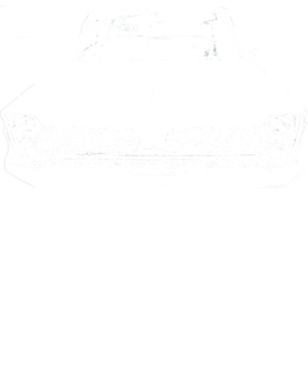 https://s3.us-west-1.wasabisys.com/ecart-content/cargeektees.com/overlays/178/675/17867585.png img