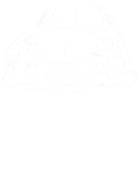 https://s3.us-west-1.wasabisys.com/ecart-content/cargeektees.com/overlays/178/777/17877767.png img