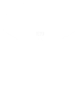 https://s3.us-west-1.wasabisys.com/ecart-content/cargeektees.com/overlays/179/235/17923517.png img