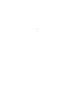 https://s3.us-west-1.wasabisys.com/ecart-content/cargeektees.com/overlays/179/235/17923526.png img